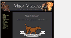 Desktop Screenshot of miravizslas.com